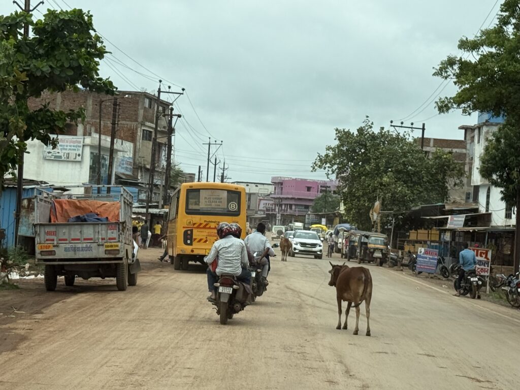 सब्जी मंडी, मेन रोड और स्टेशन खरोरा मार्ग पर अवैध ठेले और मवेशियों का कब्जा: तिल्दा नेवरा की सड़कों पर हाहाकार, नगर पालिका अध्यक्ष की चुप्पी पर जनता का गुस्सा